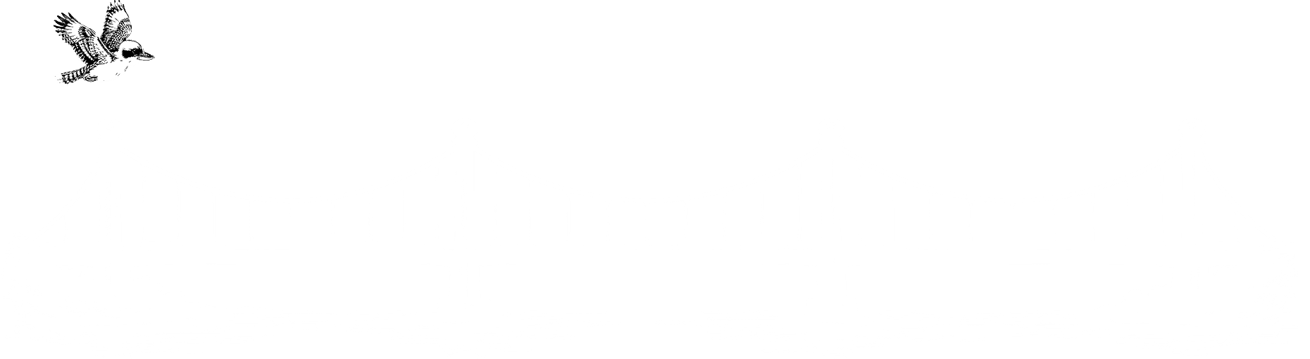 Bridge illustration